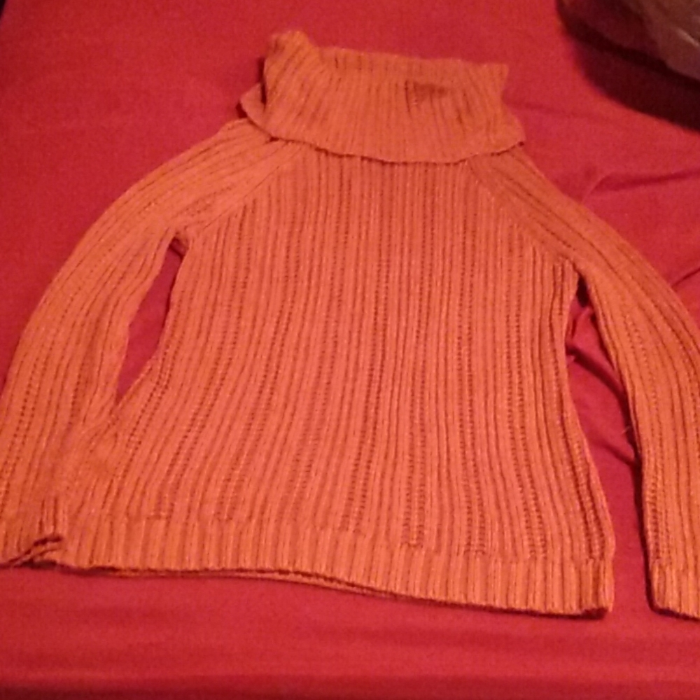 Ann Taylor Loft turtle neck sweater